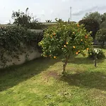 Residence Olbia